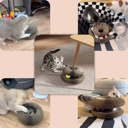 Organ Shape Cat Scratching Board with Bell Toy