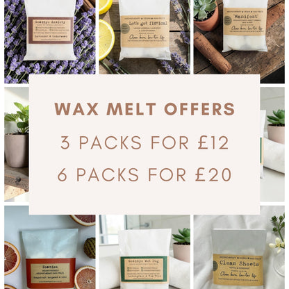 'Lets get Fizzical' Pet Friendly Wax Melts