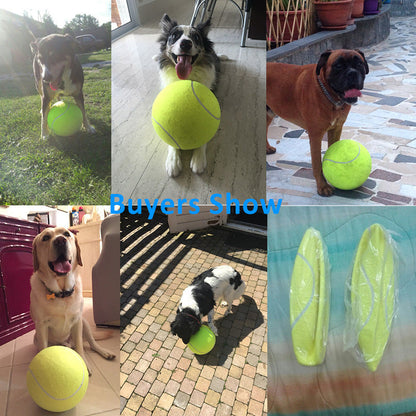 Inflatable Rubber Training Ball for Dogs — Large Fetch & Play Ball