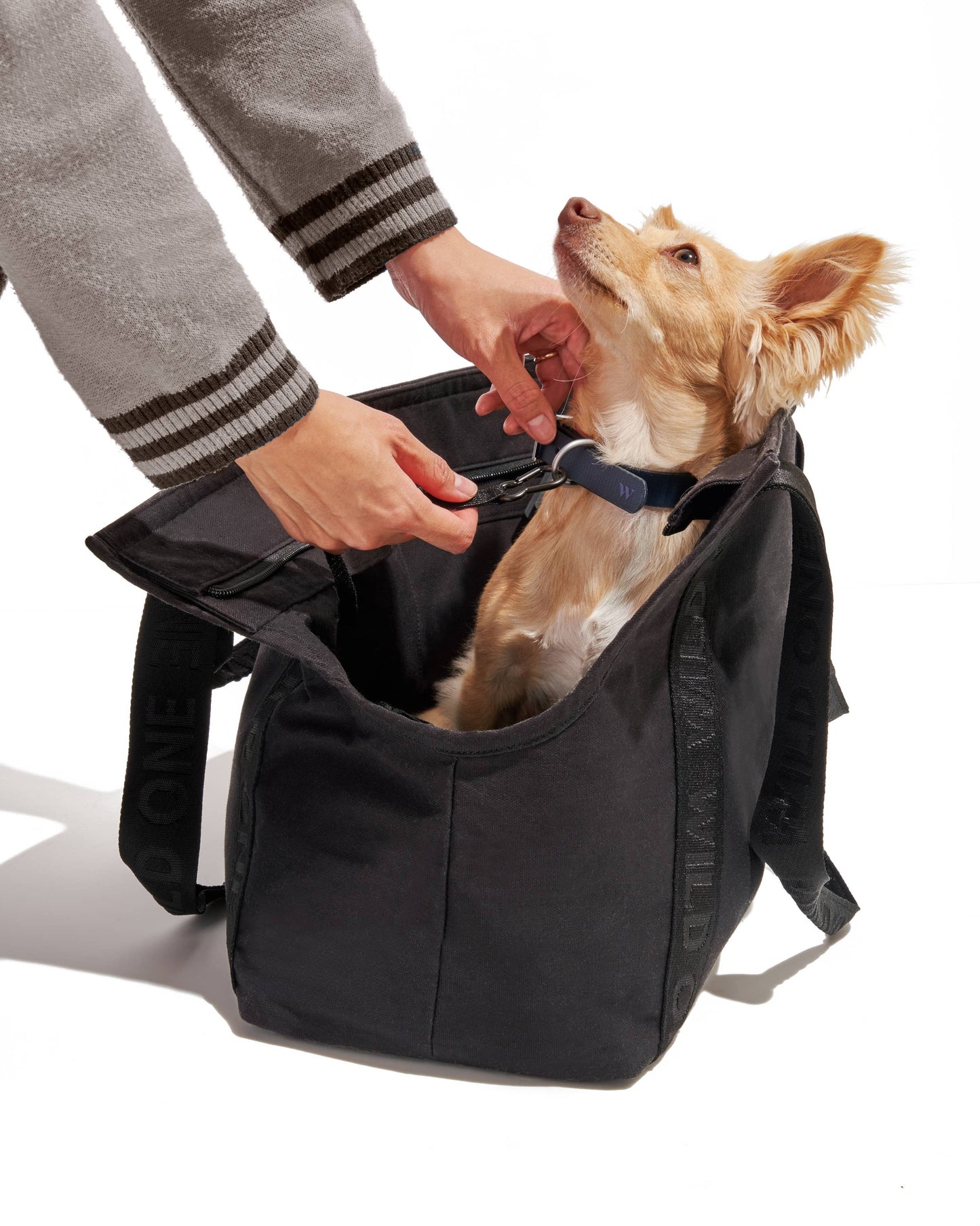 Cotton Everyday Carrier