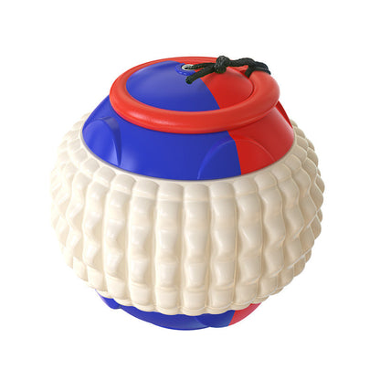 Retractable Throw & Dental Chew Ball for Dogs