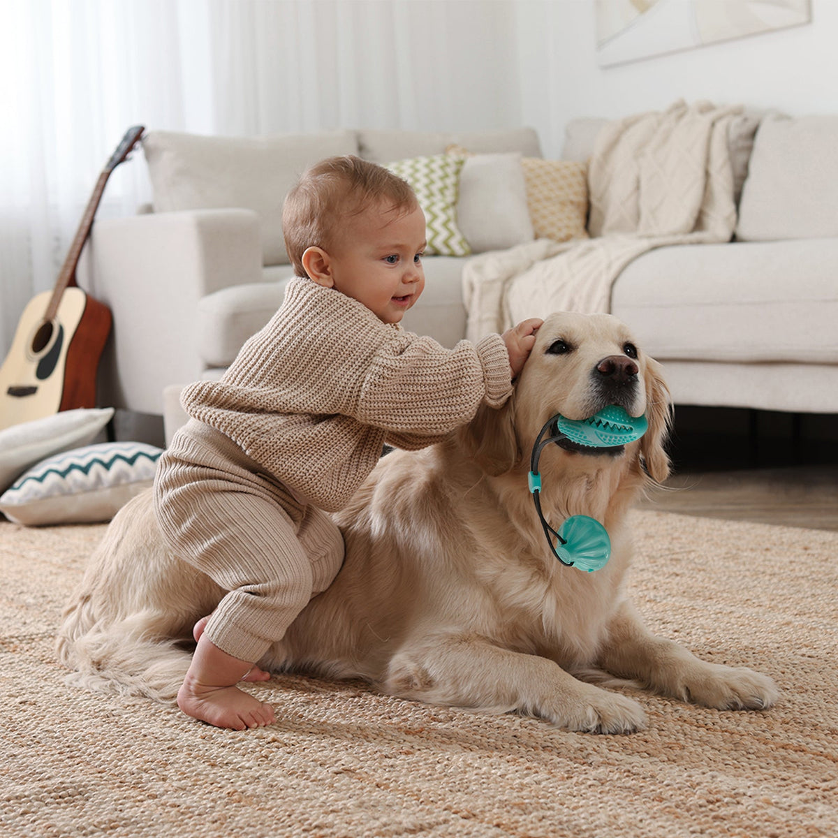 Suction Cup Rope Molar Dog Toy Ball — Tug & Teeth Cleaning