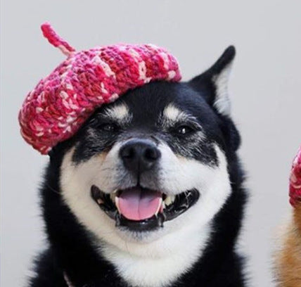 Hand-Knitted Wool Beret & Collar Set for Dogs
