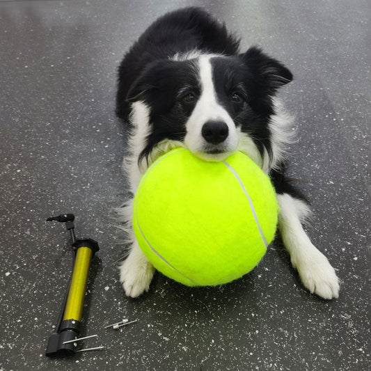 Inflatable Rubber Training Ball for Dogs — Large Fetch & Play Ball