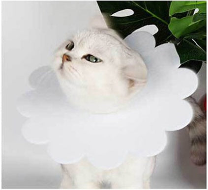 Sunflower Elizabethan Recovery Collar