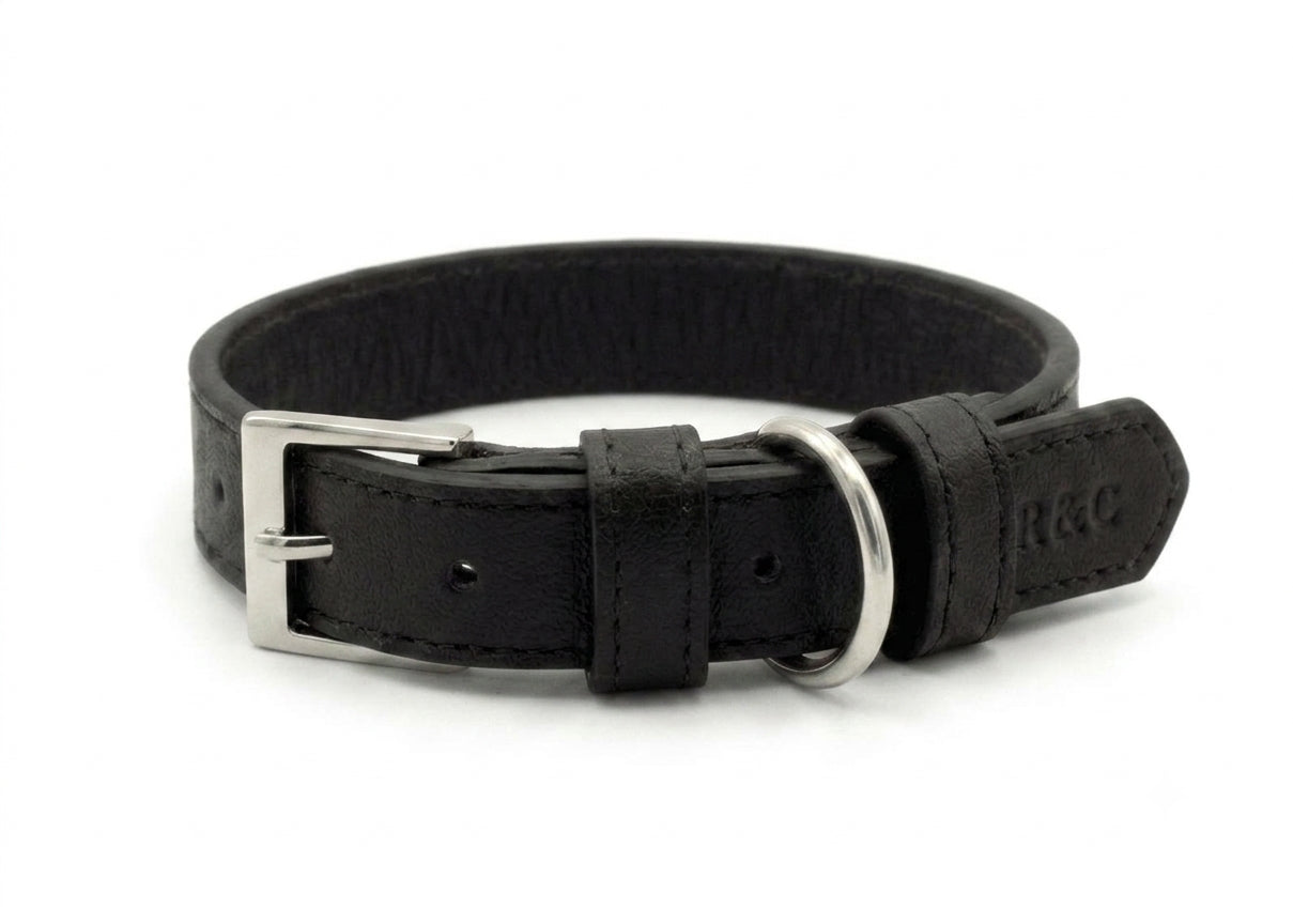 Black Leather Dog Collar
