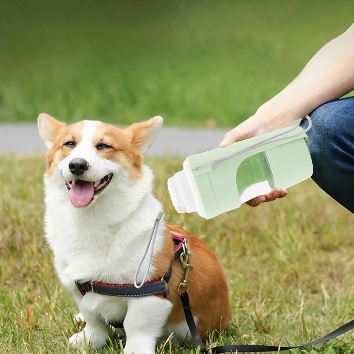 2-in-1 Travel Dog Water Bottle & Feeder