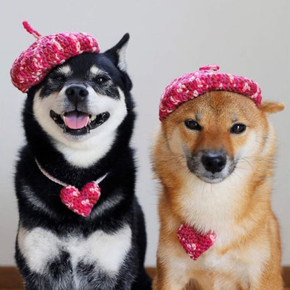 Hand-Knitted Wool Beret & Collar Set for Dogs