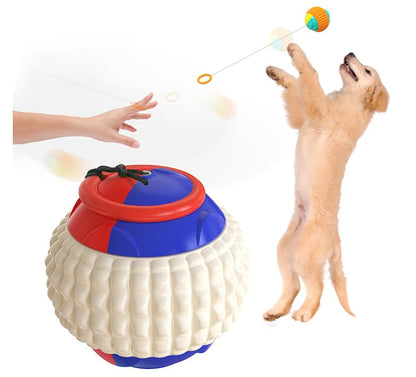 Retractable Throw & Dental Chew Ball for Dogs