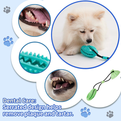 Suction Cup Rope Molar Dog Toy Ball — Tug & Teeth Cleaning