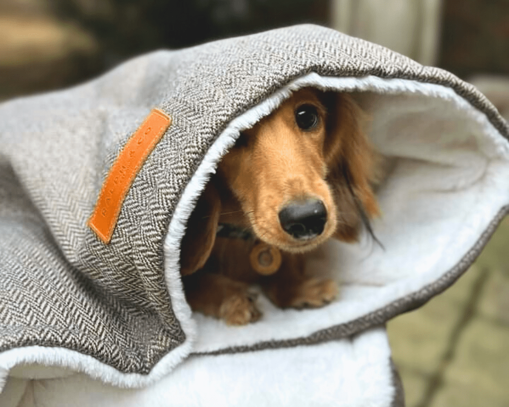 Luxury Washable Tweed Dog Blanket | Lincoln