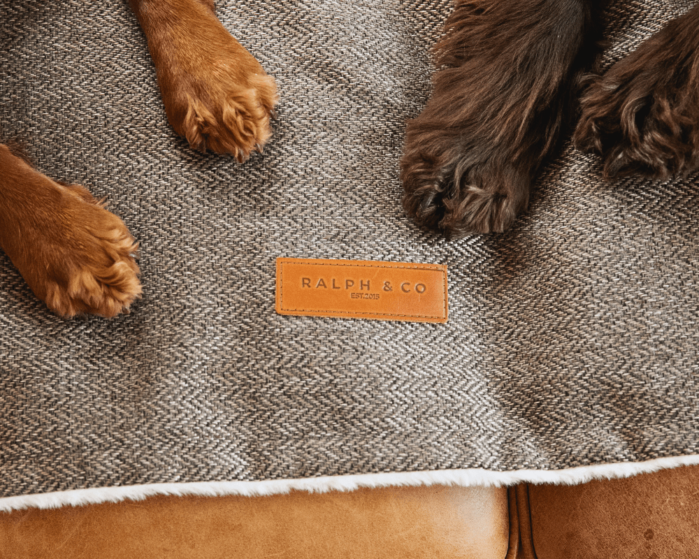 Luxury Washable Tweed Dog Blanket | Lincoln