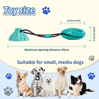Suction Cup Rope Molar Dog Toy Ball — Tug & Teeth Cleaning