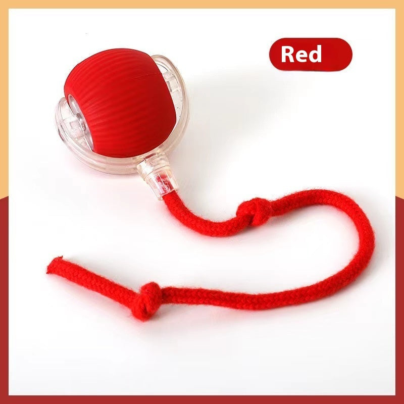 Bite-Resistant Squeaky Ball Toy for Cats & Dogs