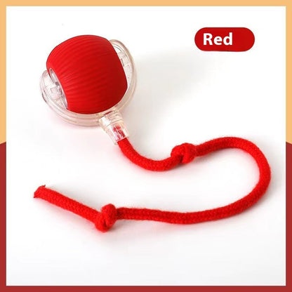 Bite-Resistant Squeaky Ball Toy for Cats & Dogs