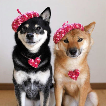 Hand-Knitted Wool Beret & Collar Set for Dogs