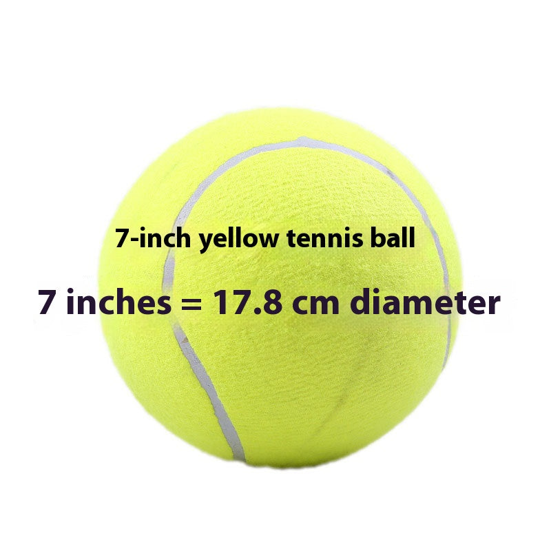 Inflatable Rubber Training Ball for Dogs — Large Fetch & Play Ball
