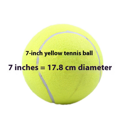 Inflatable Rubber Training Ball for Dogs — Large Fetch & Play Ball
