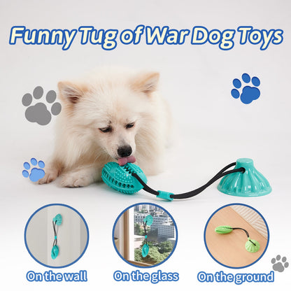 Suction Cup Rope Molar Dog Toy Ball — Tug & Teeth Cleaning