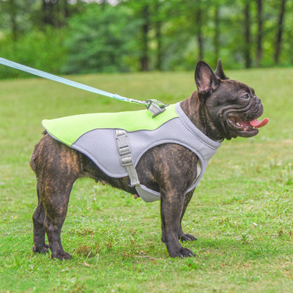 Dog Cooling Vest — Breathable & UV-Protective Summer Wear