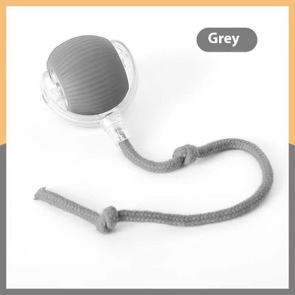 Bite-Resistant Squeaky Ball Toy for Cats & Dogs
