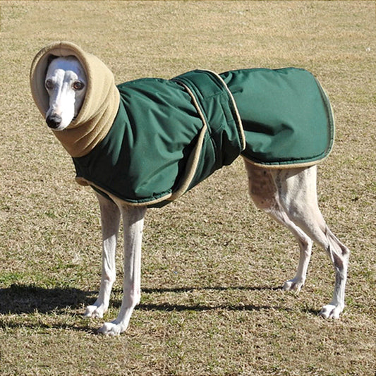 Thickened Dog Coat for Large Breeds