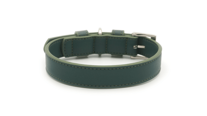 Green Leather Dog Collar