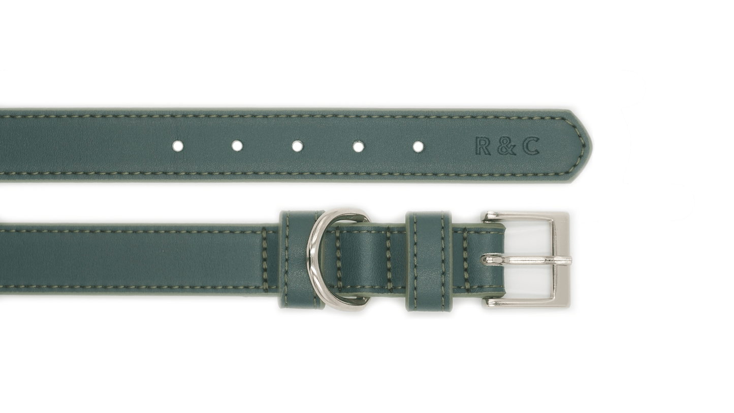 Green Leather Dog Collar