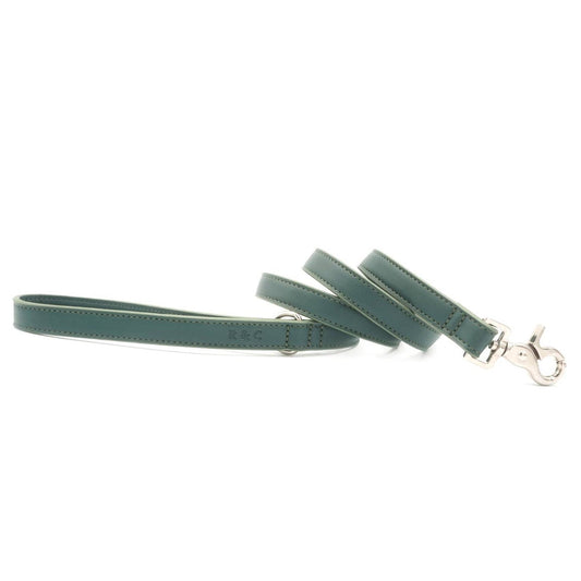 Green Leather Dog Lead