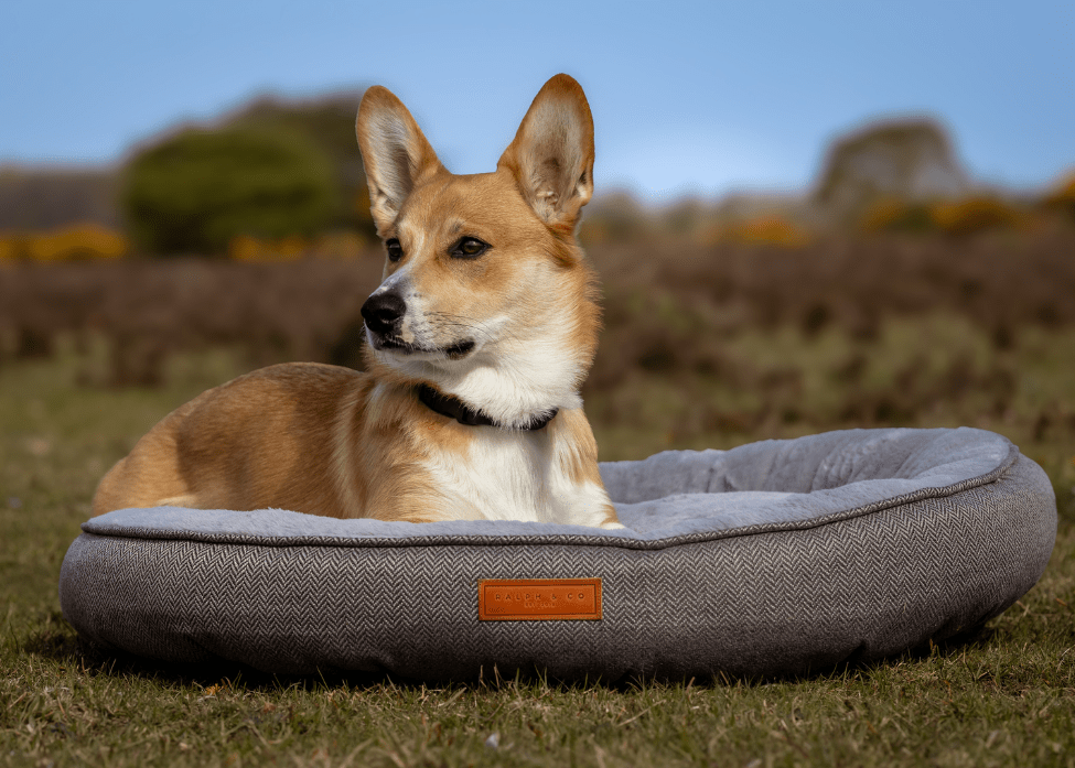 THE BALMORAL  | LUXURY DONUT BED