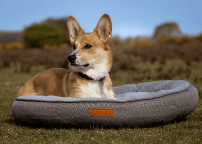 THE BALMORAL  | LUXURY DONUT BED