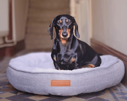 THE BALMORAL  | LUXURY DONUT BED