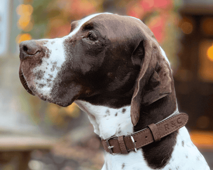 Herringbone & Leather Collar - Lincoln