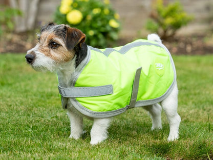 Waterproof Dog Coat - High Viz Yellow