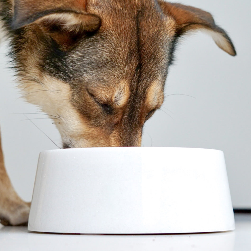 White Crystal Marble Dog Bowl