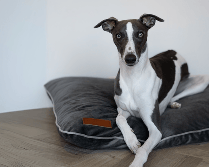 Luxury Memory Foam Crate Bed With Removable Covers | Grey