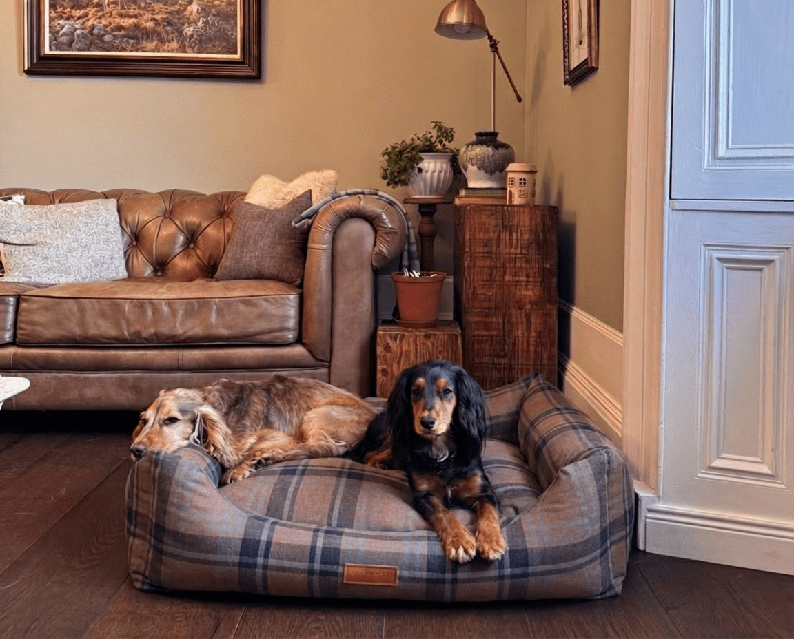 THE MARLOW | LUXURY TARTAN BED