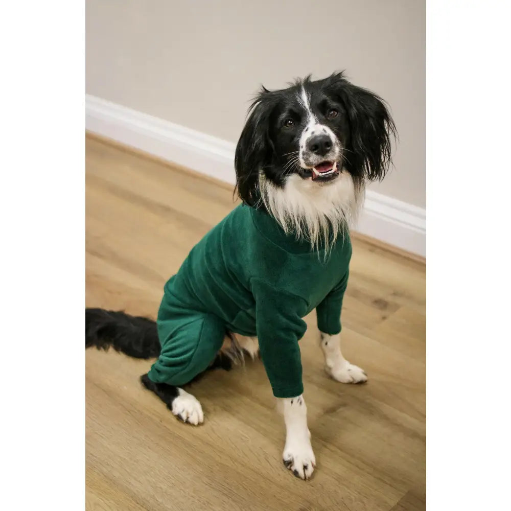 Standard Size Fleece Dog Jumpsuit