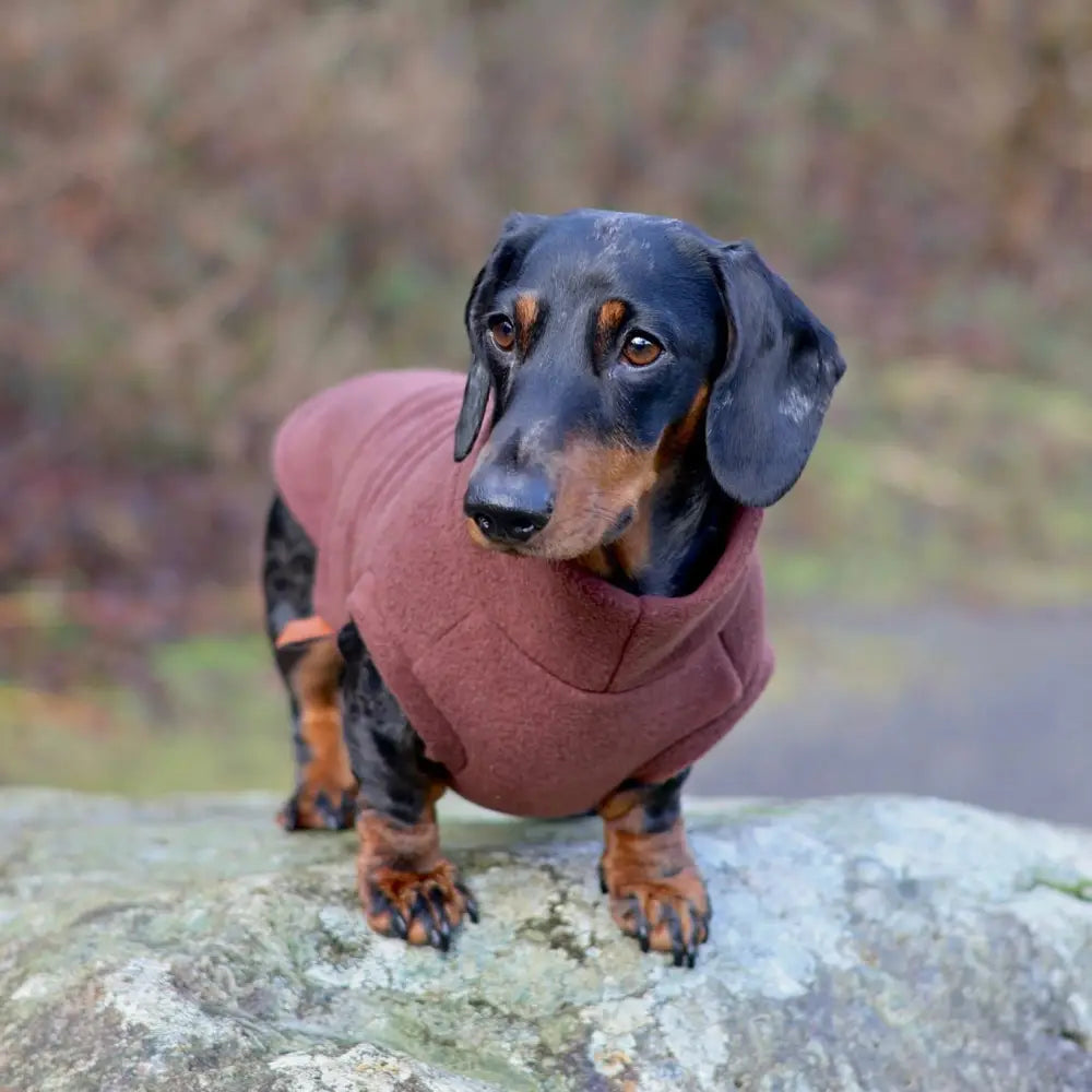 Standard Sized Fleece Snuggle Jumper
