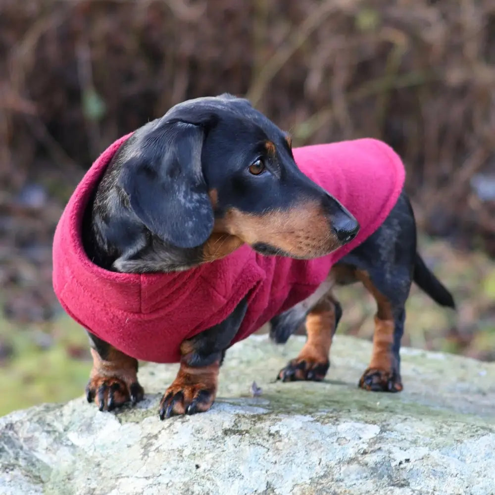 Standard Sized Fleece Snuggle Jumper