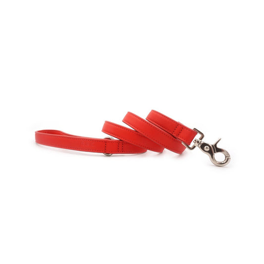Red Leather Dog Lead