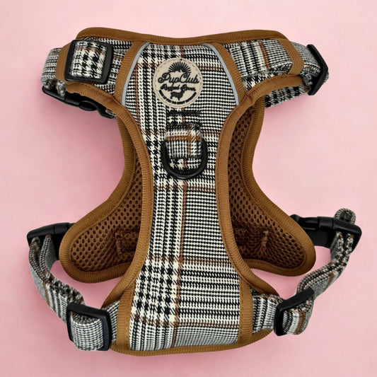 Rugged Rover™ Harness - Foxbury Plaid