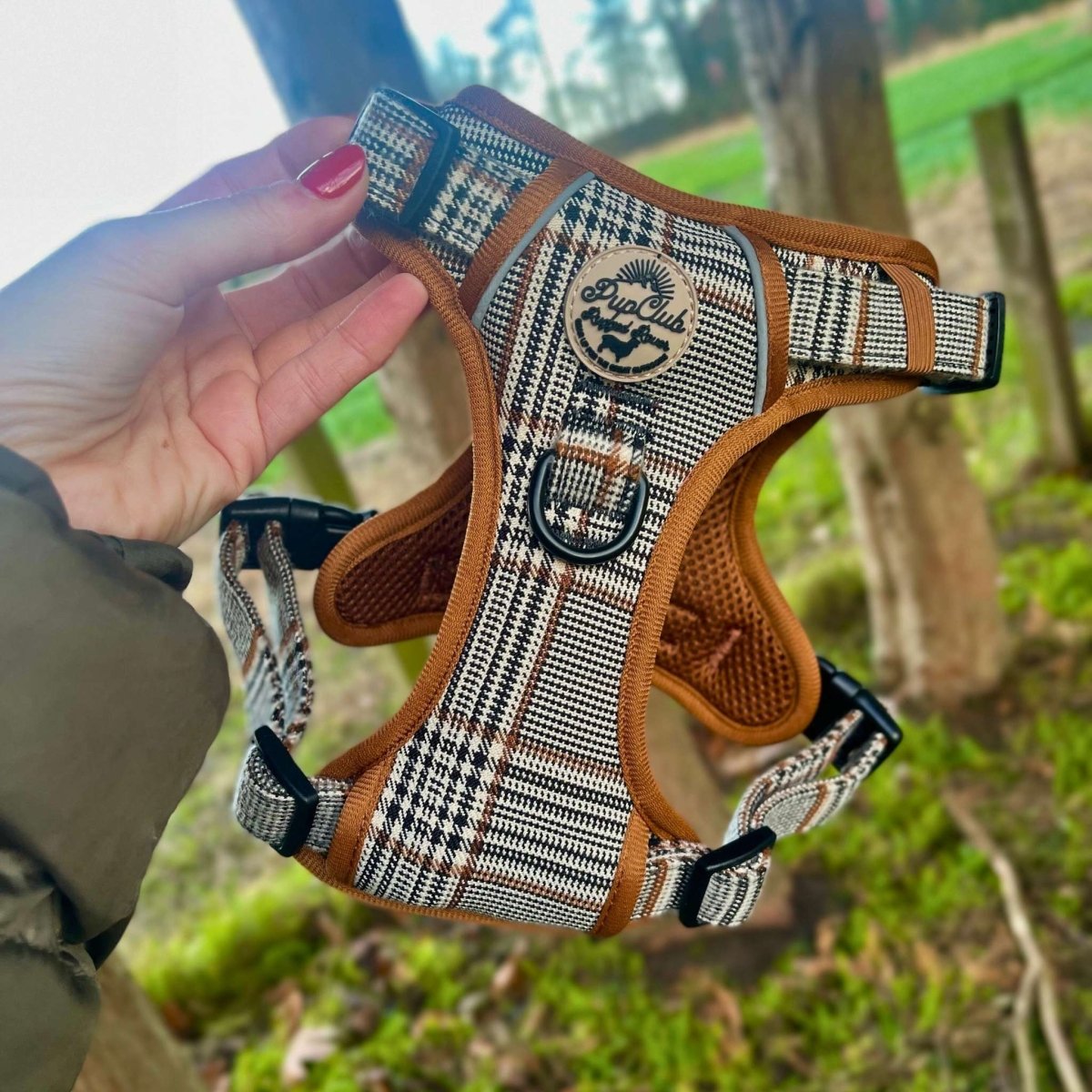Rugged Rover™ Harness - Foxbury Plaid