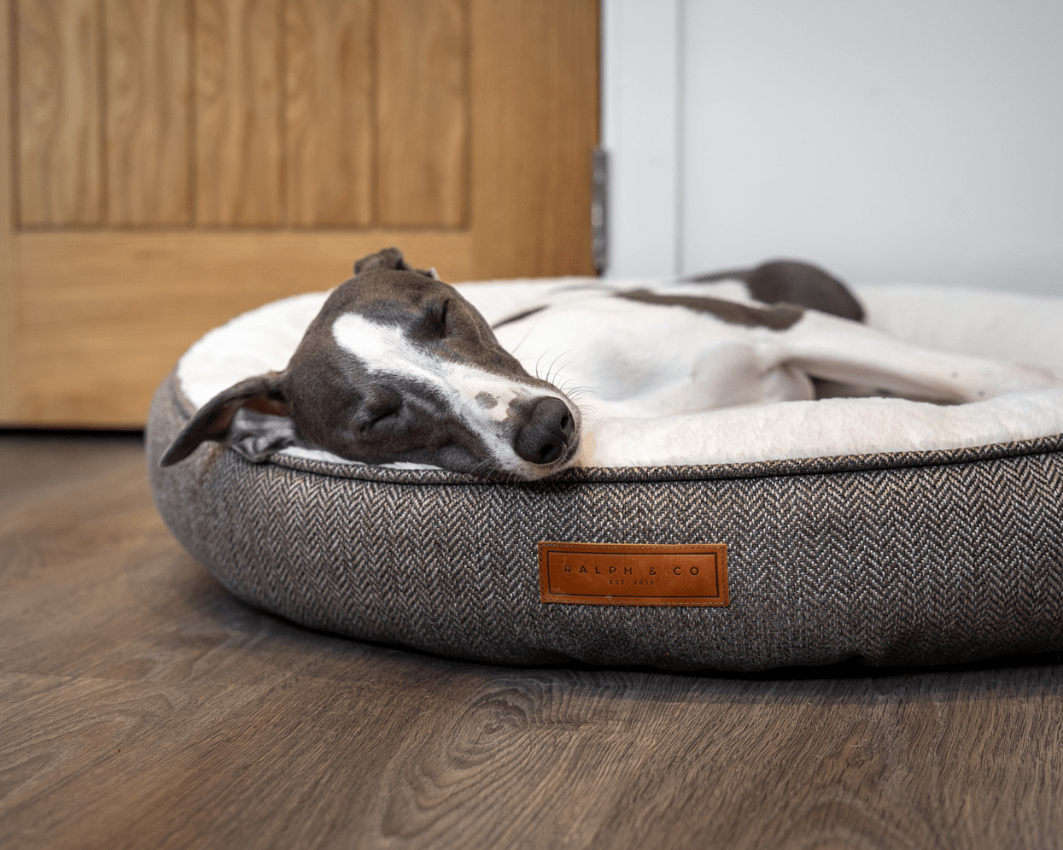 THE LINCOLN  | LUXURY DONUT BED