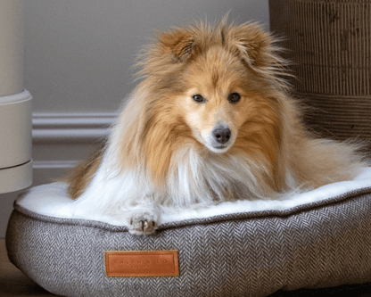 THE LINCOLN  | LUXURY DONUT BED