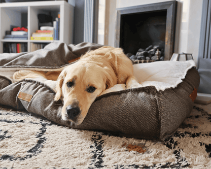 THE LINCOLN  | LUXURY PILLOW BED