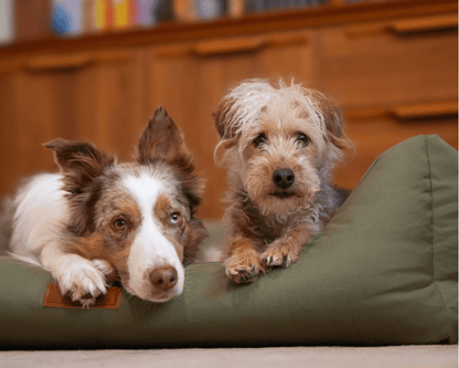THE HENLEY | LUXURY WATERPROOF BED