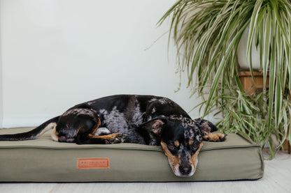 Waterproof & Memory Foam Dog Bed With Removable Covers | Henley