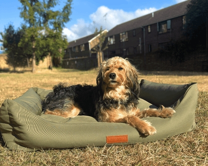 THE HENLEY | LUXURY WATERPROOF BED