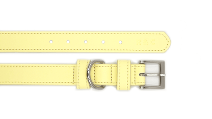 Yellow Leather Dog Collar